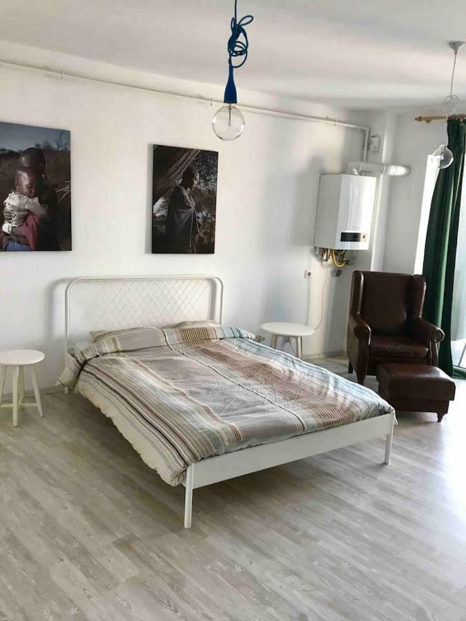 Beautiful Studio Near The Center Of Cluj Dış mekan fotoğraf